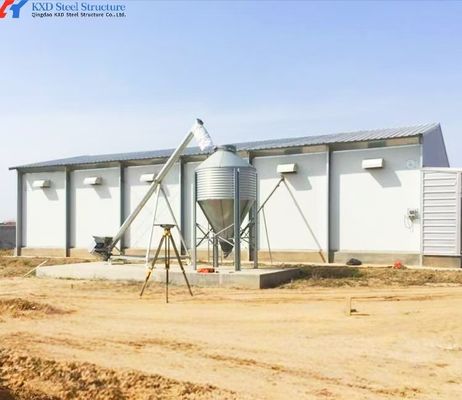 Chicken Shed Chicken Shed Cấu trúc thép Nhà gà thép Prefab