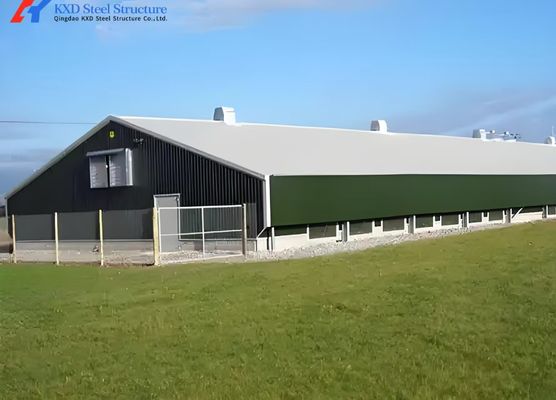 Poultry Farming Chicken House Design Steel Structure Chicken Shed Automatic Poultry Farming System