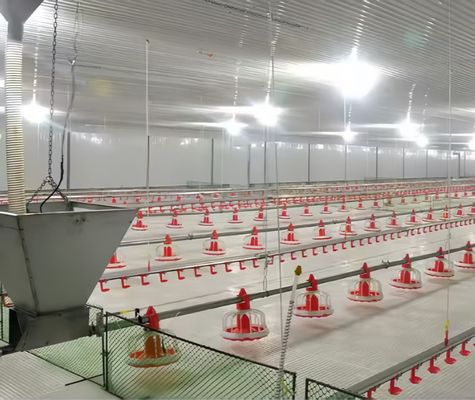 ブロイラー飼育 飼育 栽培設備 システム プラントライン 層 床 養鶏 鶏家